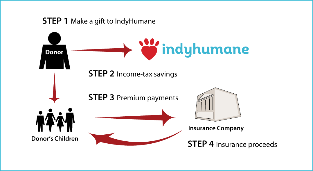 Life Insurance to Replace Gift Thumbnail