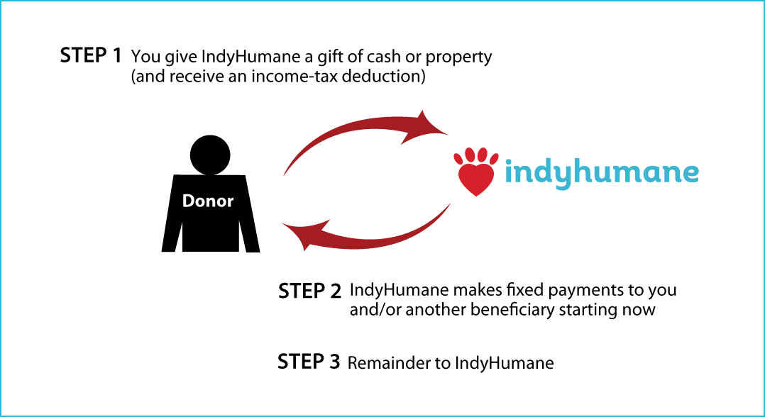 Immediate-Payment Charitable Gift Annuity Thumbnail