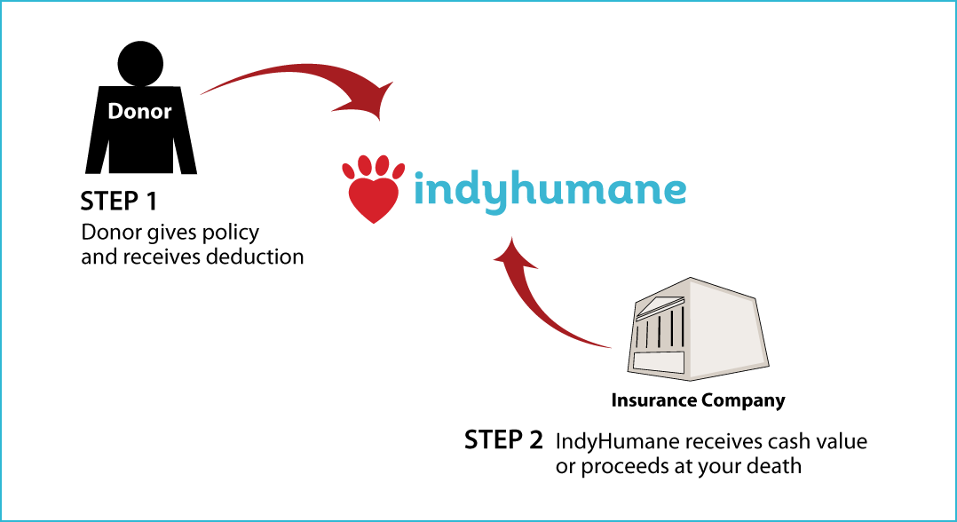 Life Insurance Policy Thumbnail