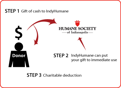 Cash, Checks, and Credit Cards Diagram Cash, Checks, and Credit Cards Diagram