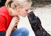 Photo of a dog kissing a volunteer. Link to Life Stage Gift Planner Ages 22-44 Gifts. 22-45.jpg
